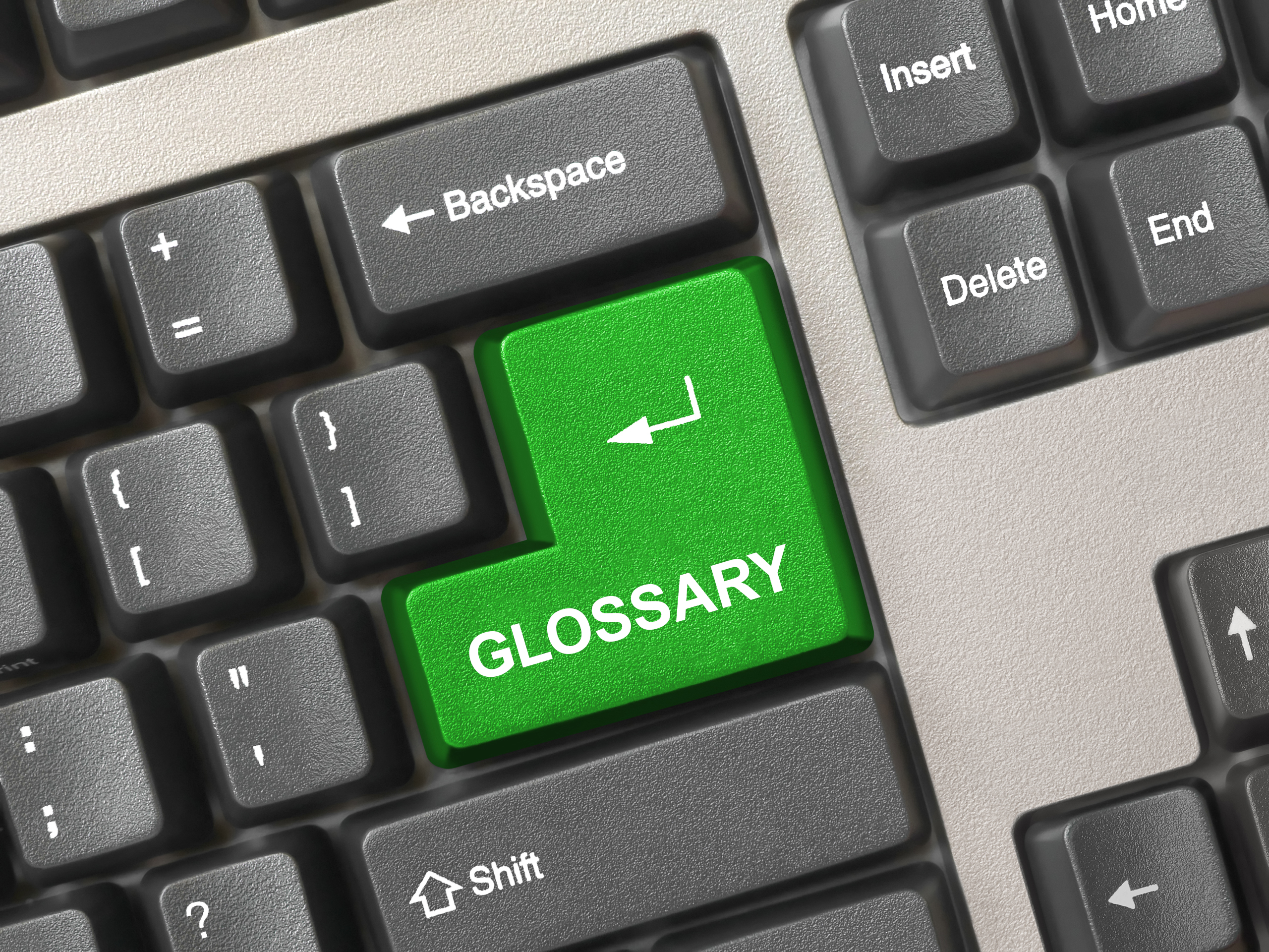 Workday Finance Glossary 